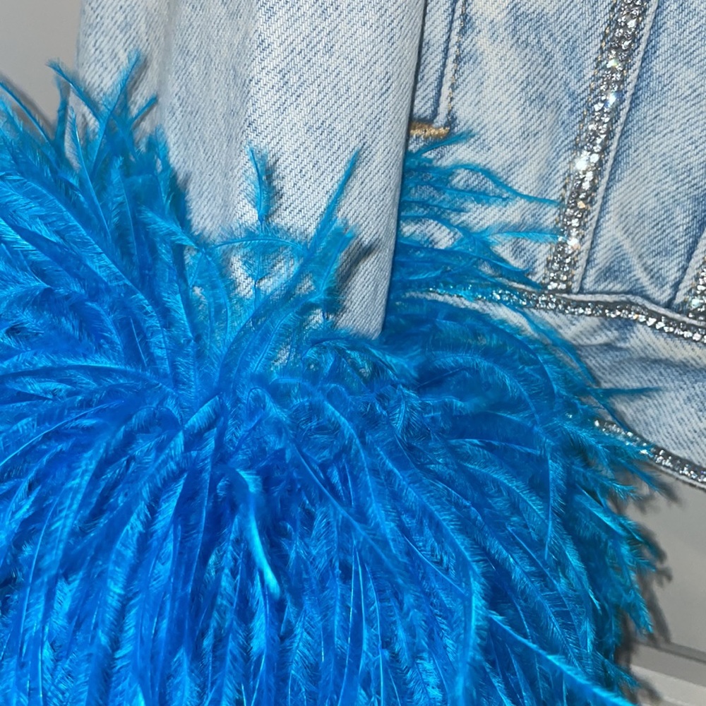Custom Jacket w rhinestones & ostrich feathers